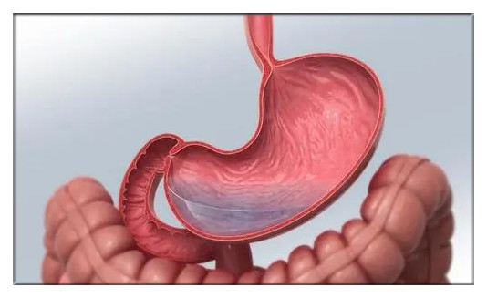 ʹ��θ������ע������