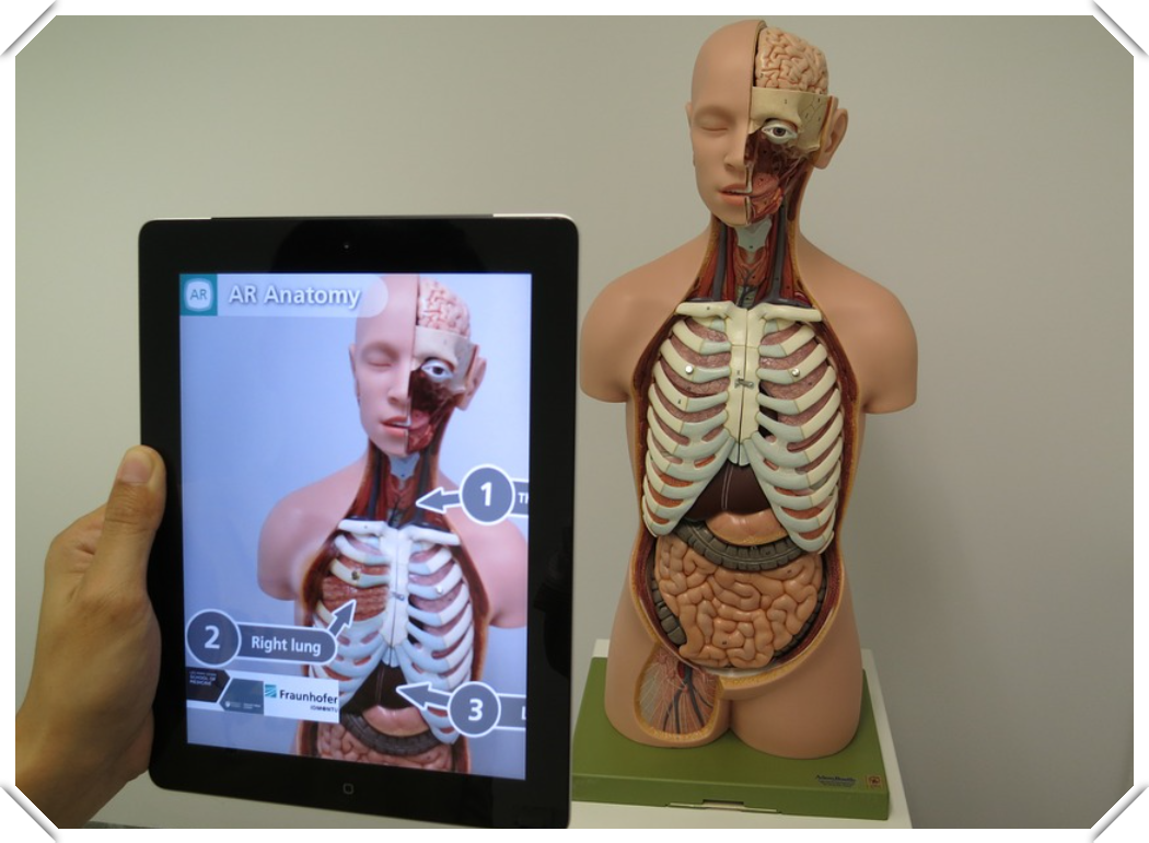 ����DR���ı�Ҫ��